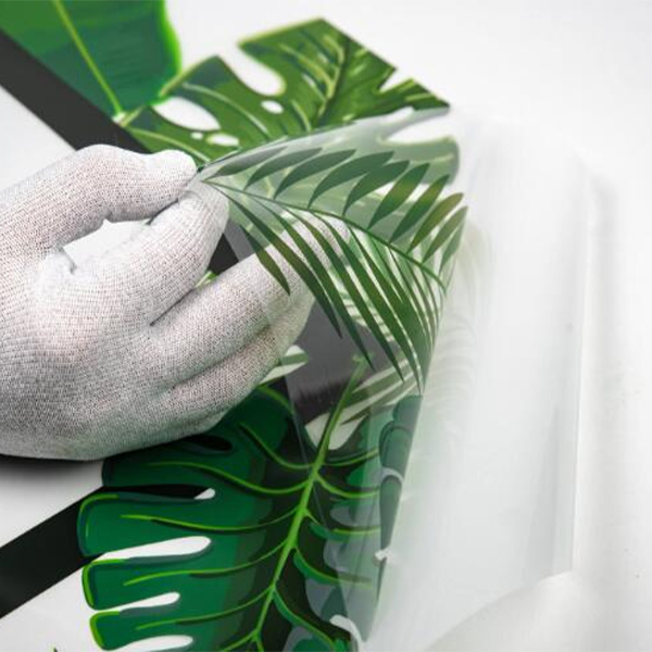 From blah to beautiful: How adhesive printable clear window film ...